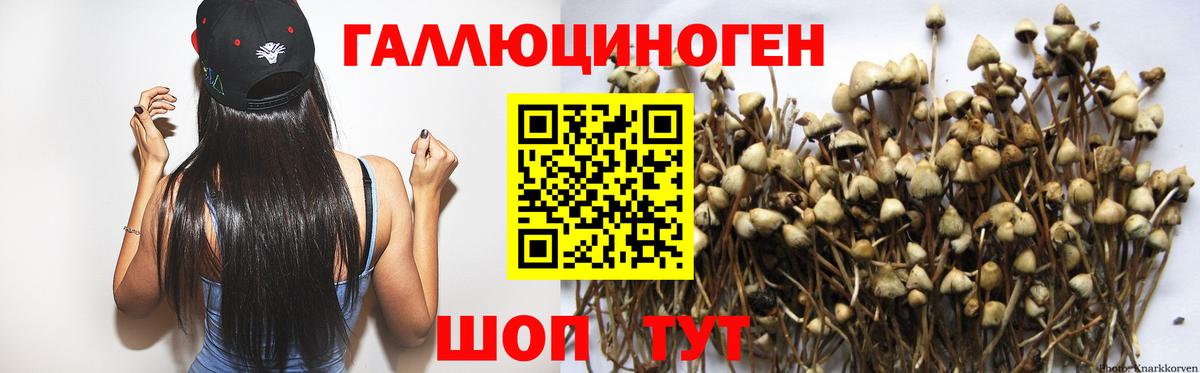 Псилоцибиновые грибы GOLDEN TEACHER  Вход с VPN  Кемерово 